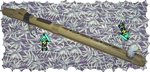 Kiowa Eagle Main